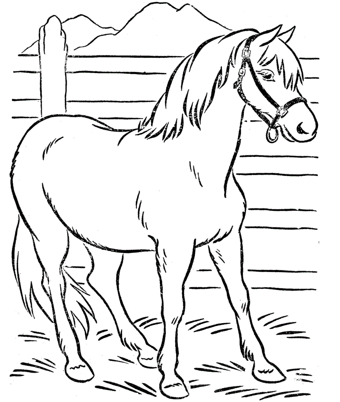 free coloring pages online horses - photo #1