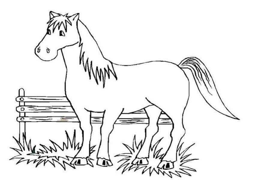 images of coloring pages of horses - photo #24