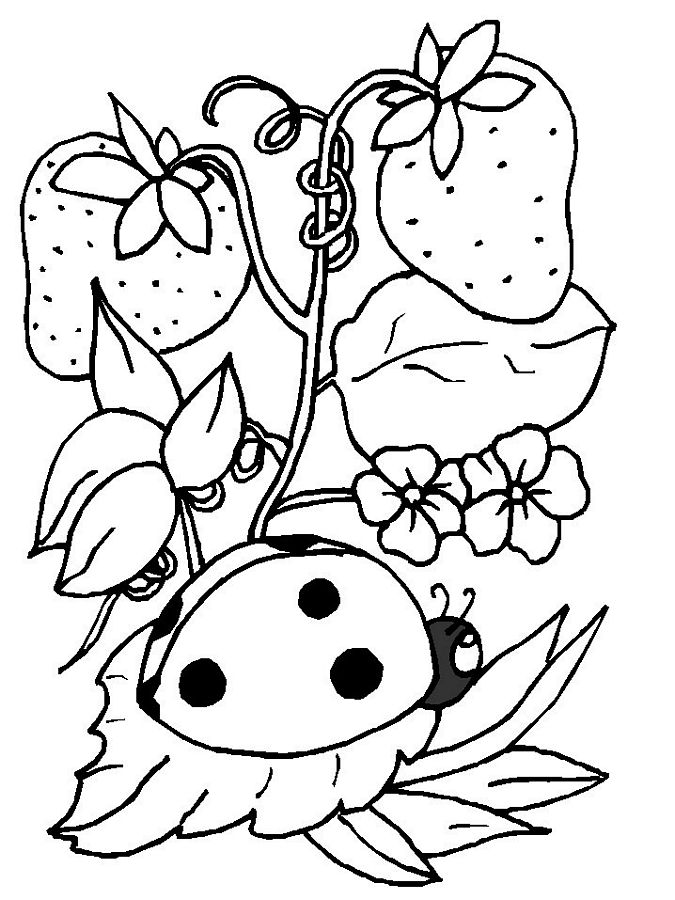 l is for ladybug coloring pages - photo #38