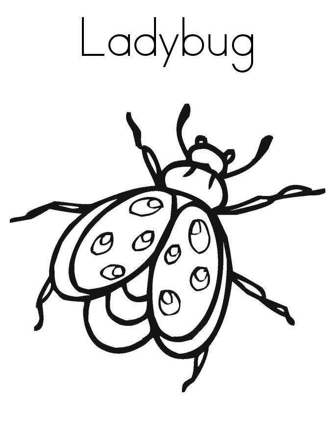 ladybug coloring pages for kids - photo #33