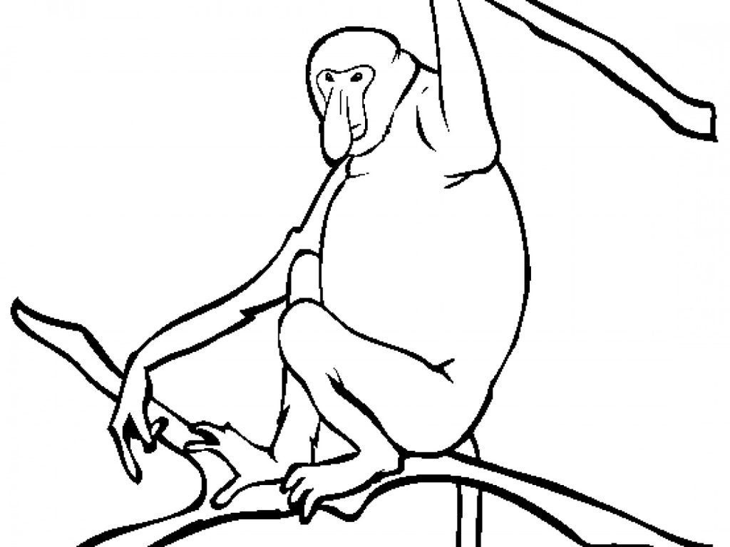 baboon coloring pages - photo #28