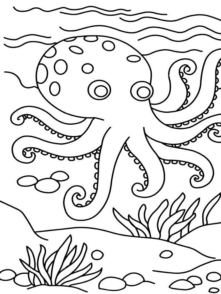 printable coloring pages octopus - photo #6