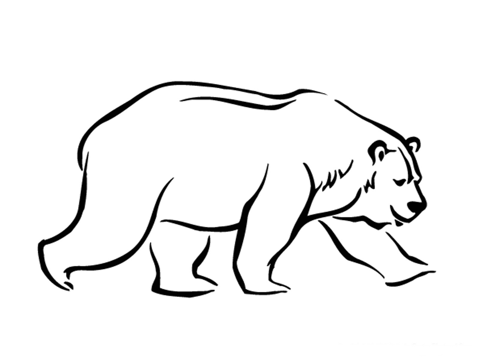 Free Polar Bear Coloring Pages