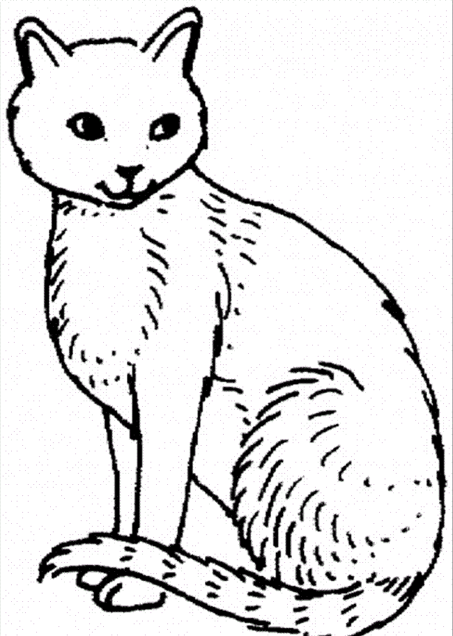 kitty cat free coloring pages - photo #42
