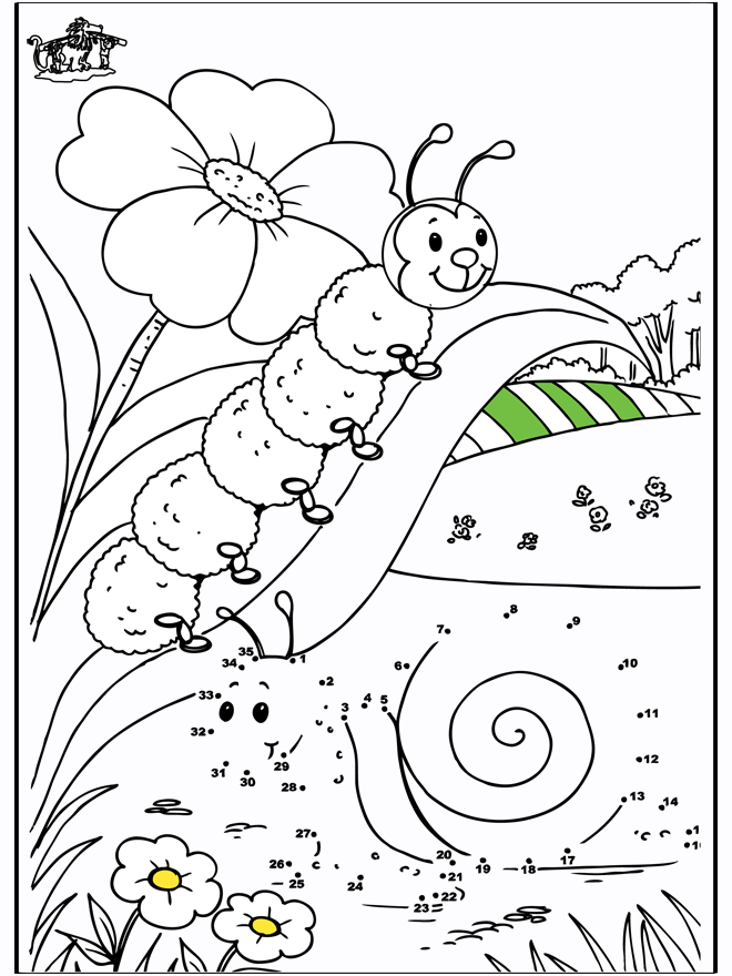 Free Printable Caterpillar Coloring Pages For Kids