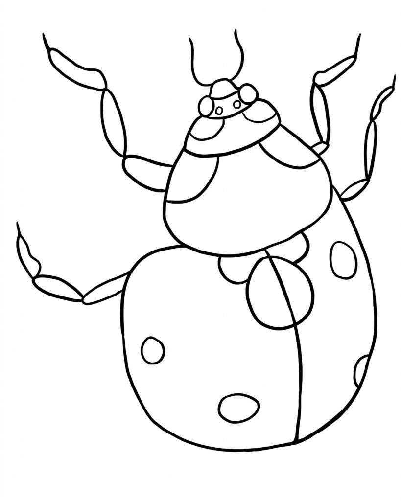 lady bug coloring book pages - photo #17