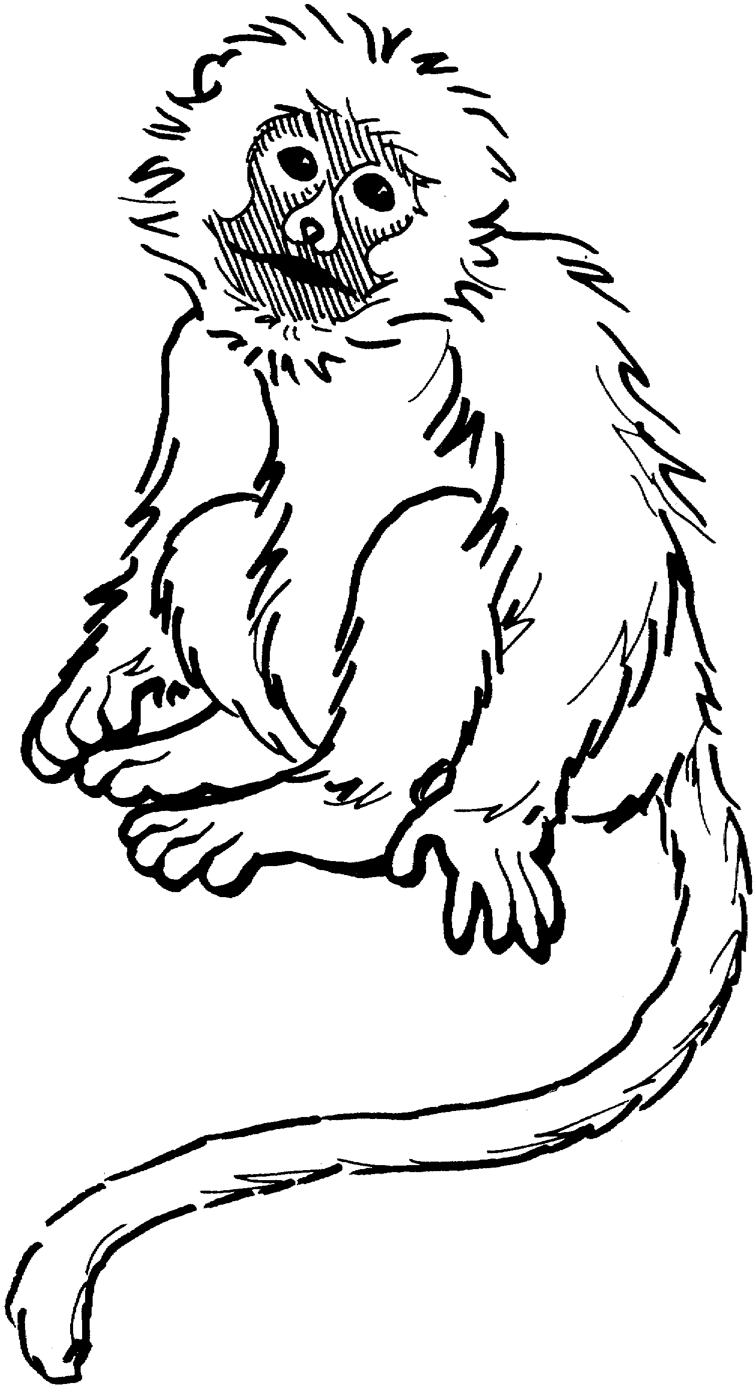 free-printable-monkey-coloring-pages-for-kids