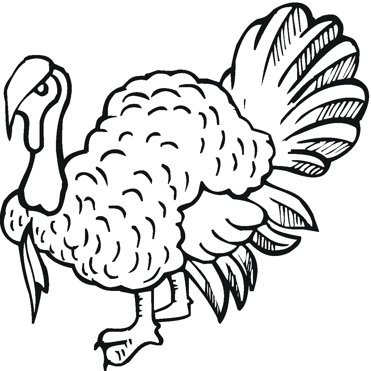 images of printable turkey coloring pages - photo #36