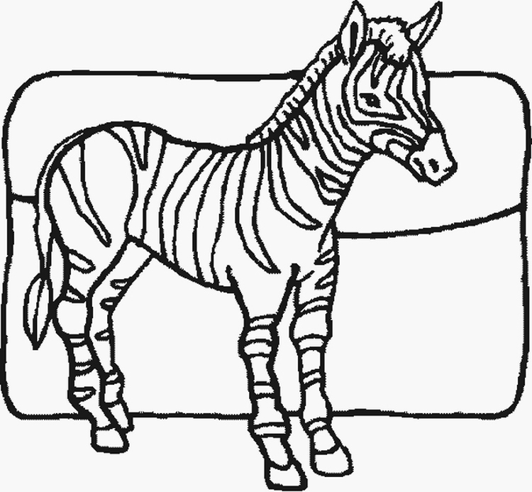 zebra pages for coloring - photo #31