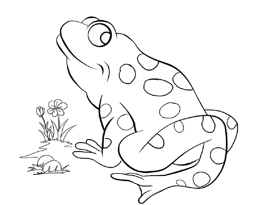 Elegant Free Printable Frog Coloring Pages