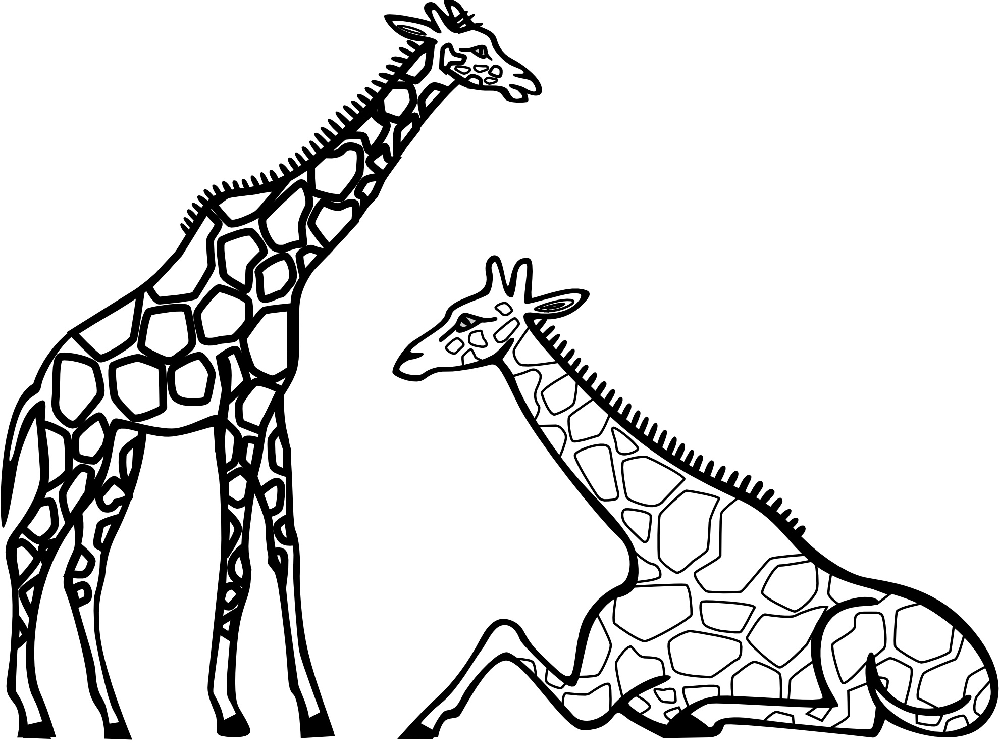 free black and white zoo clipart - photo #41