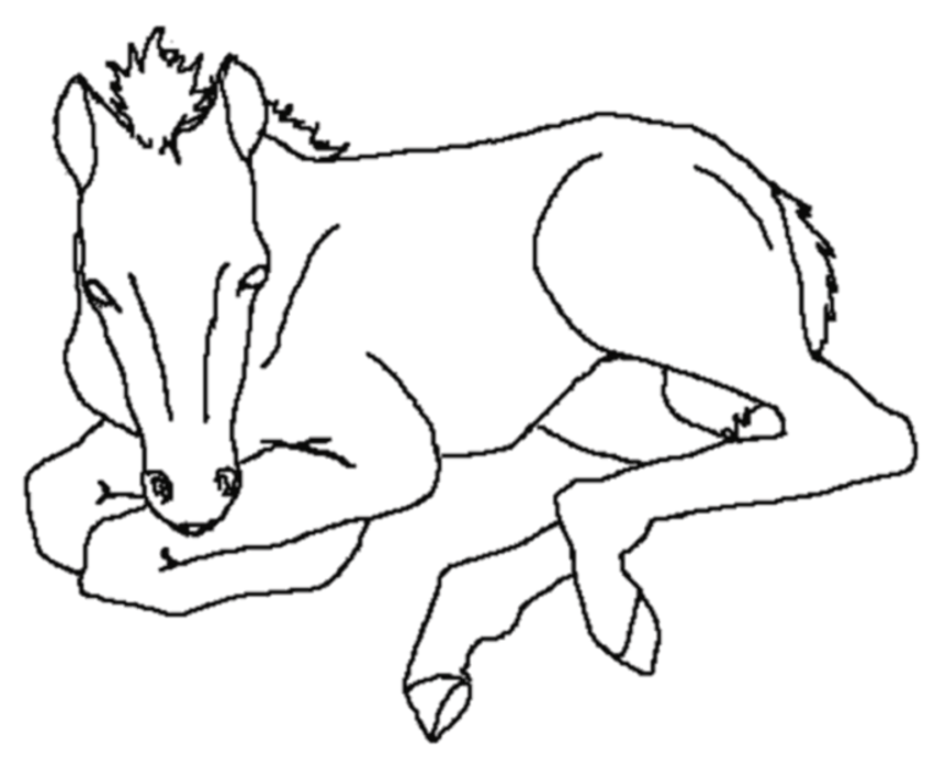 images of coloring pages of horses - photo #27