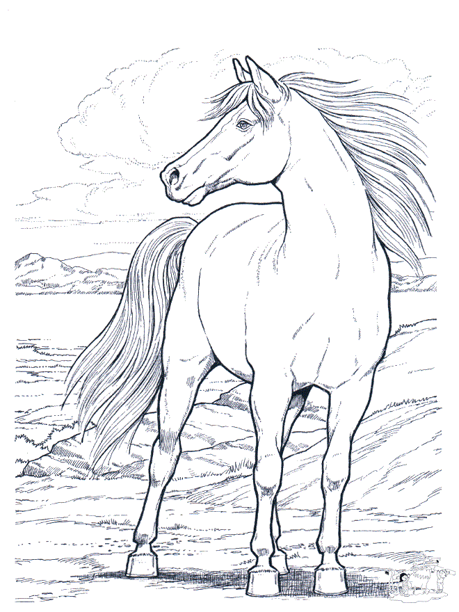 images of coloring pages of horses - photo #7