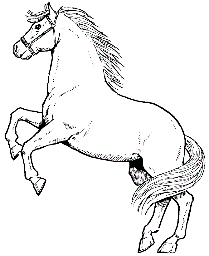 free coloring pages online horses - photo #9