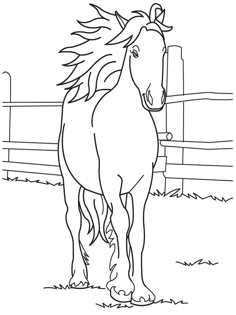 images of coloring pages of horses - photo #11