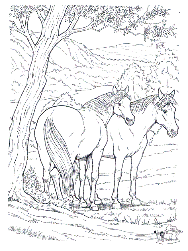 free coloring pages online horses - photo #2