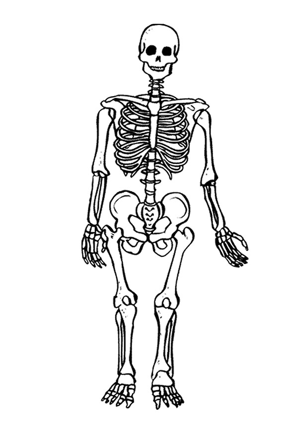 free-printable-skeleton-coloring-pages-for-kids