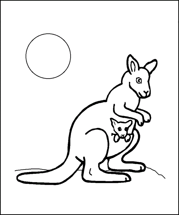 kangaroo coloring pages preschoolers - photo #31