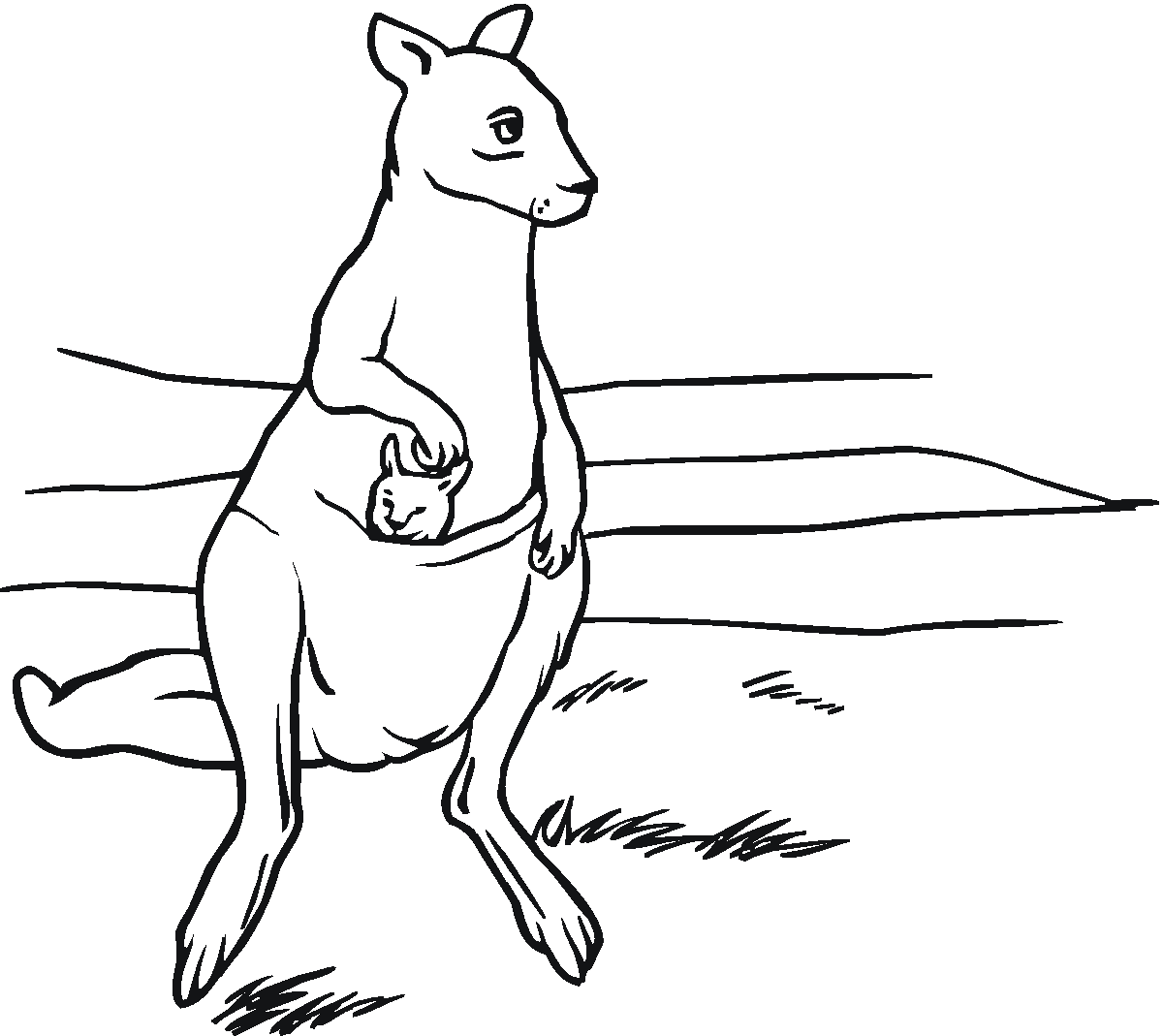 printable-kangaroo-coloring-pages-for-kids-cool2bkids