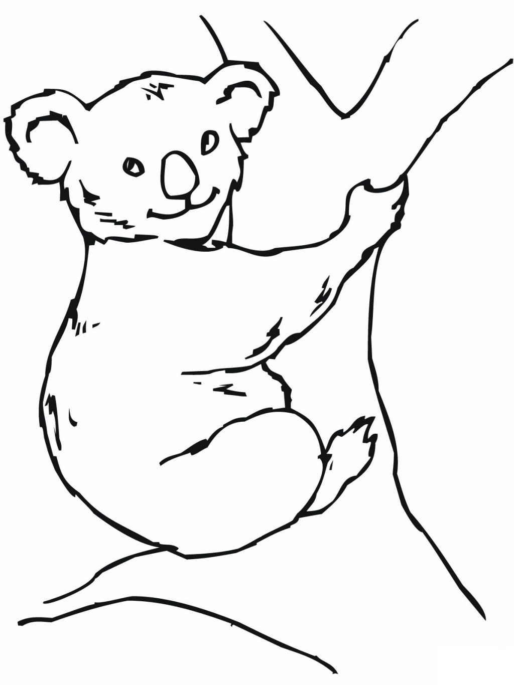 koala bear template