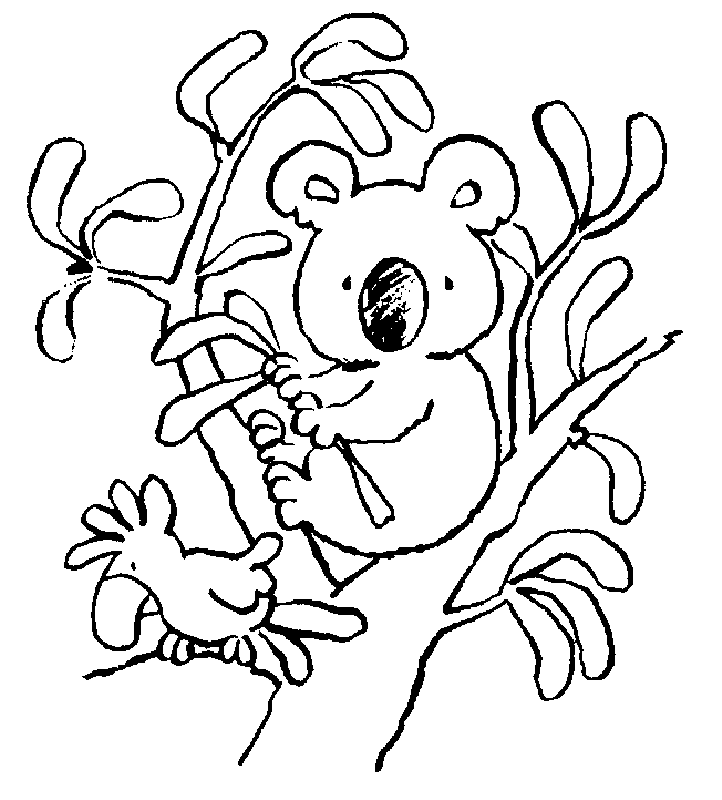 Free Printable Koala Coloring Pages For Kids