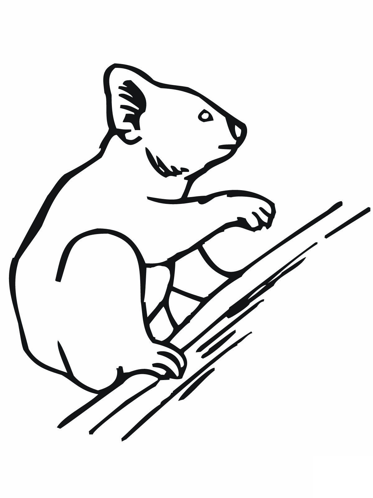free-printable-koala-coloring-pages-for-kids