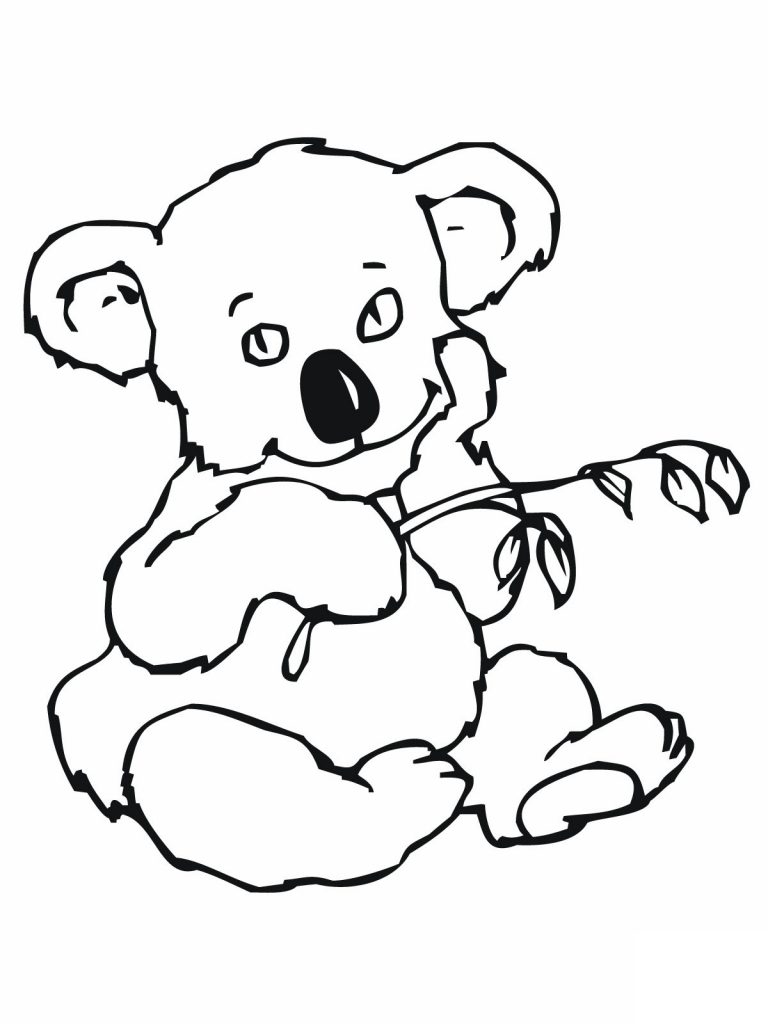 koala coloring pages  kidsuki