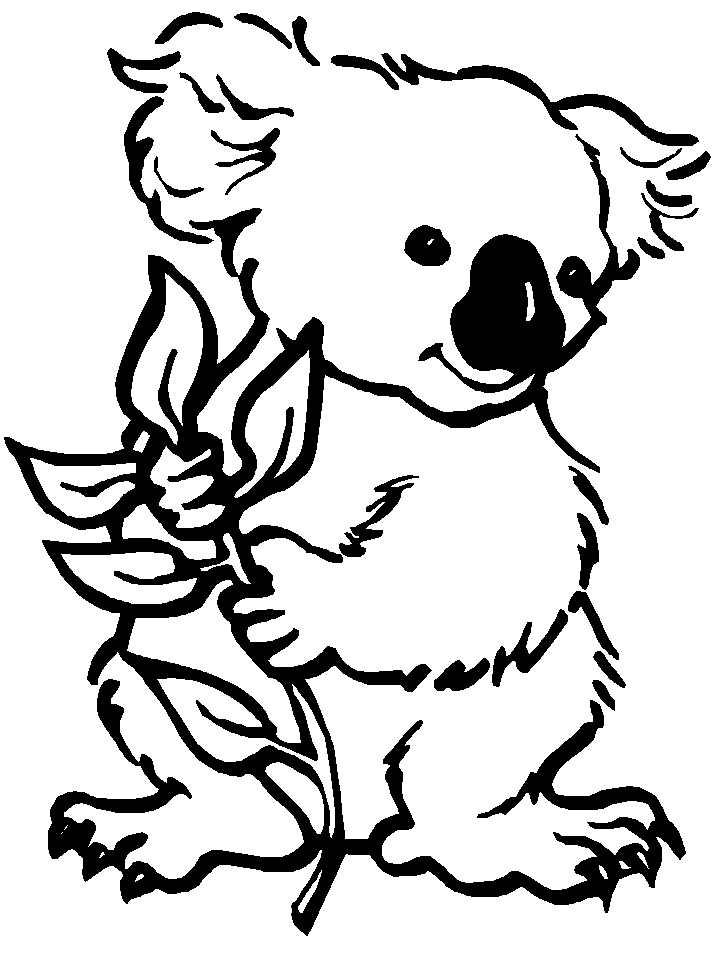 k is for koala bear coloring pages - photo #8