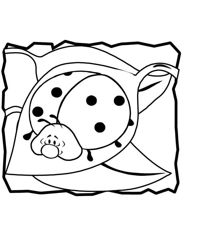 lady bug coloring book pages - photo #47