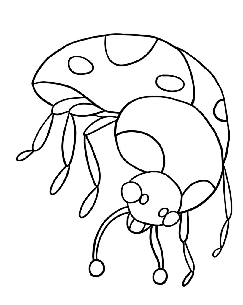 lady bug coloring book pages - photo #46