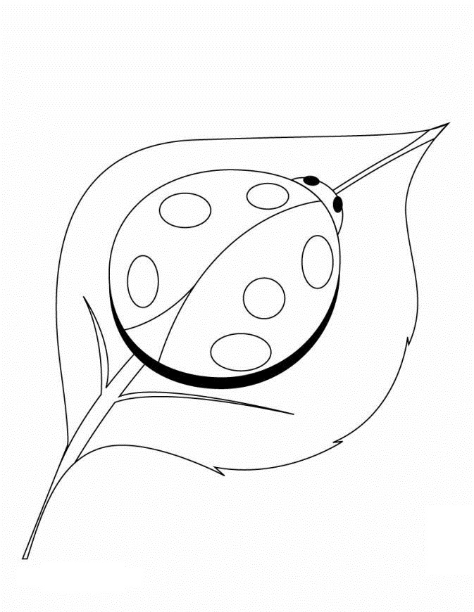 ladybug coloring pages for kids - photo #25