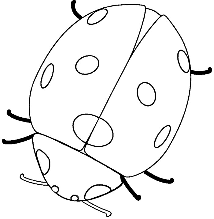 ladybug coloring pages - photo #2