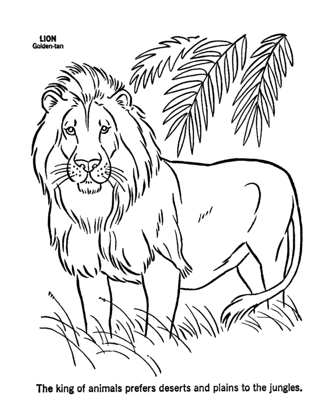lion face coloring pages for kids - photo #25