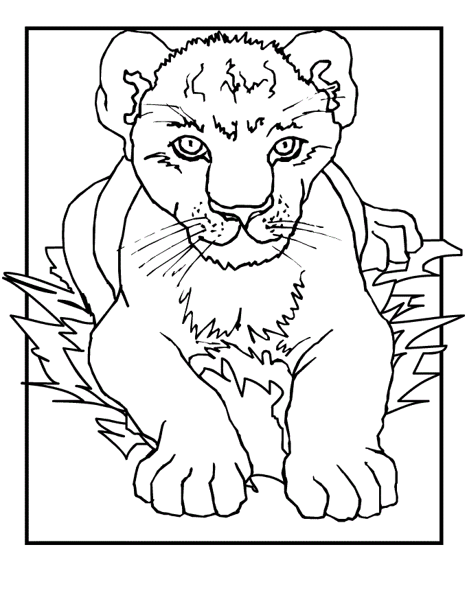 zoo animals coloring pages lion king - photo #5