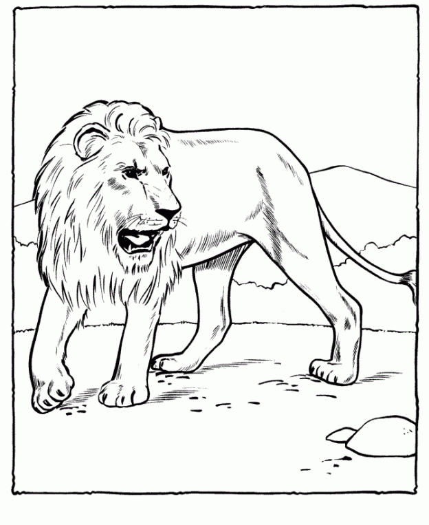 zoo animals coloring pages lion king - photo #13