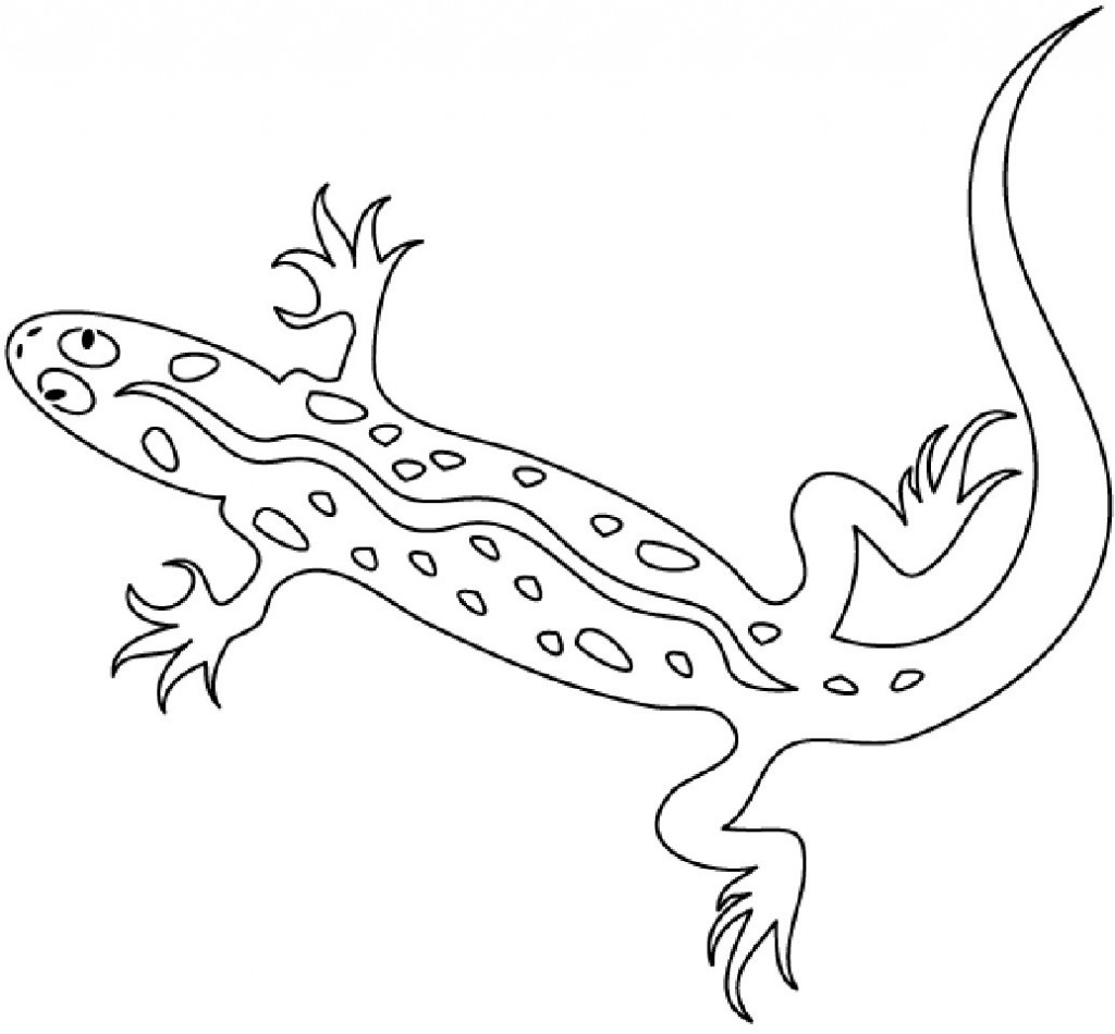 Free Printable Lizard Coloring Pages For Kids