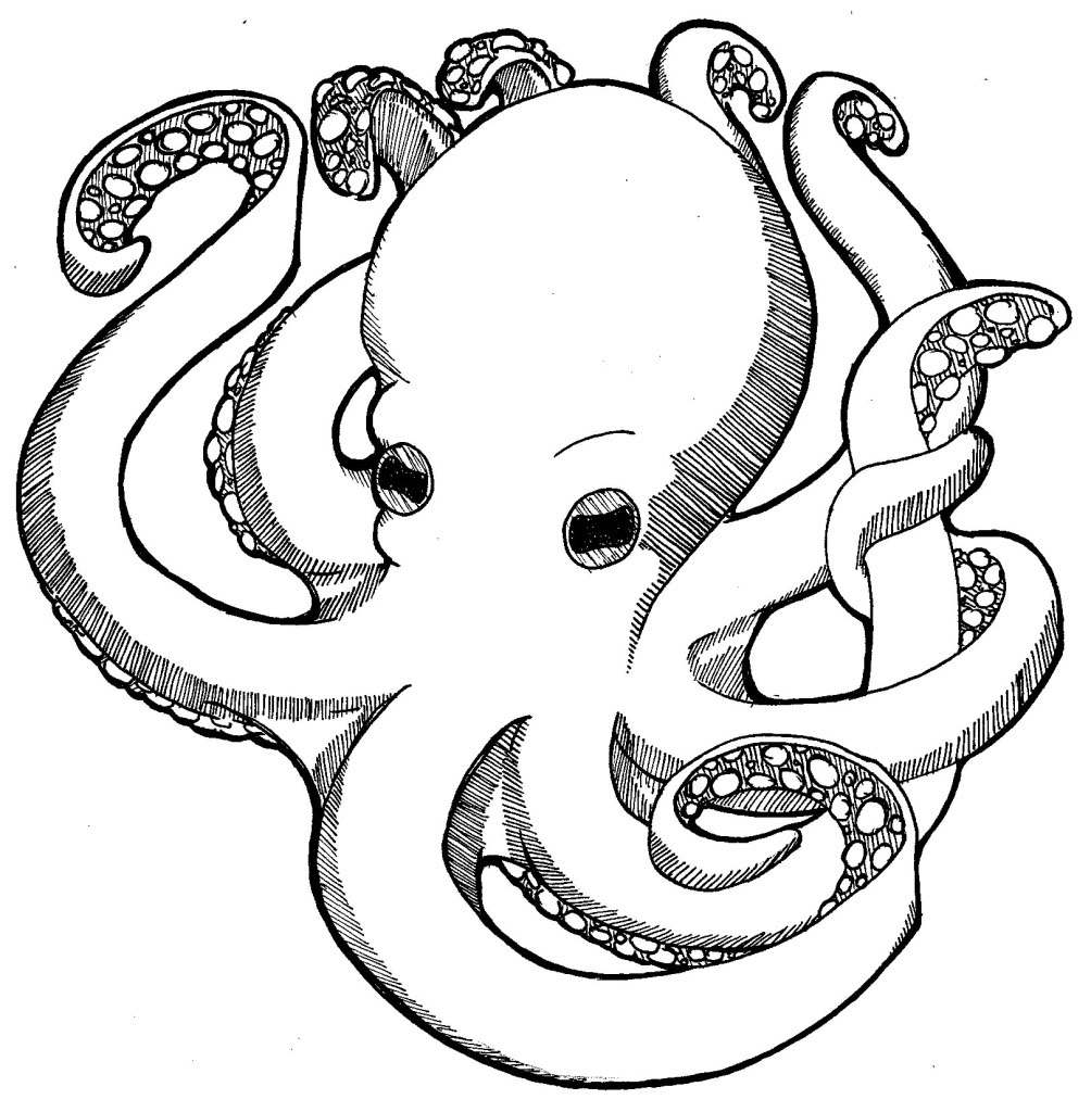 printable coloring pages octopus - photo #1