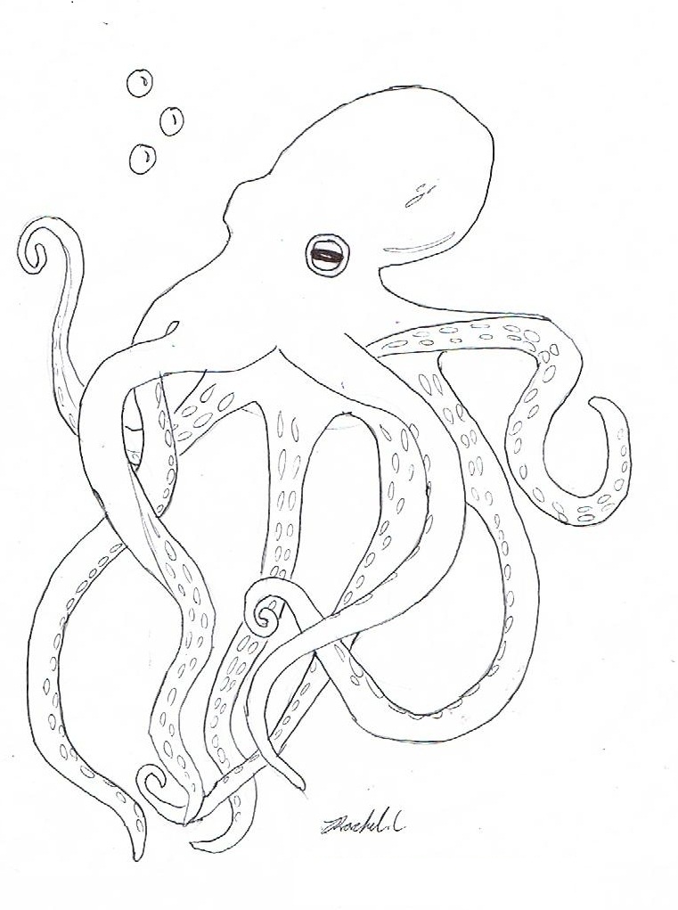 octopus coloring pages and activities - photo #3