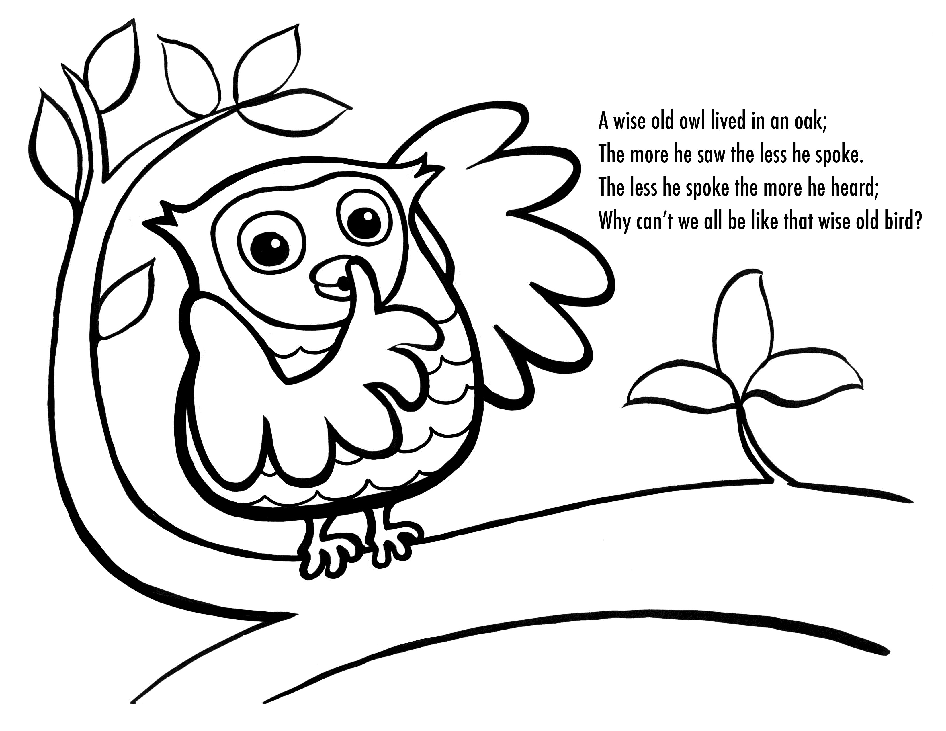 a owl coloring pages - photo #40