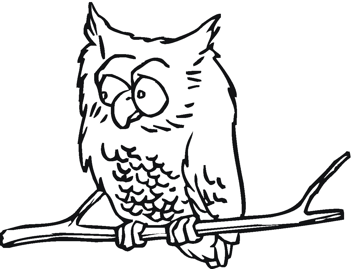 baby big eyed owl coloring pages - photo #46