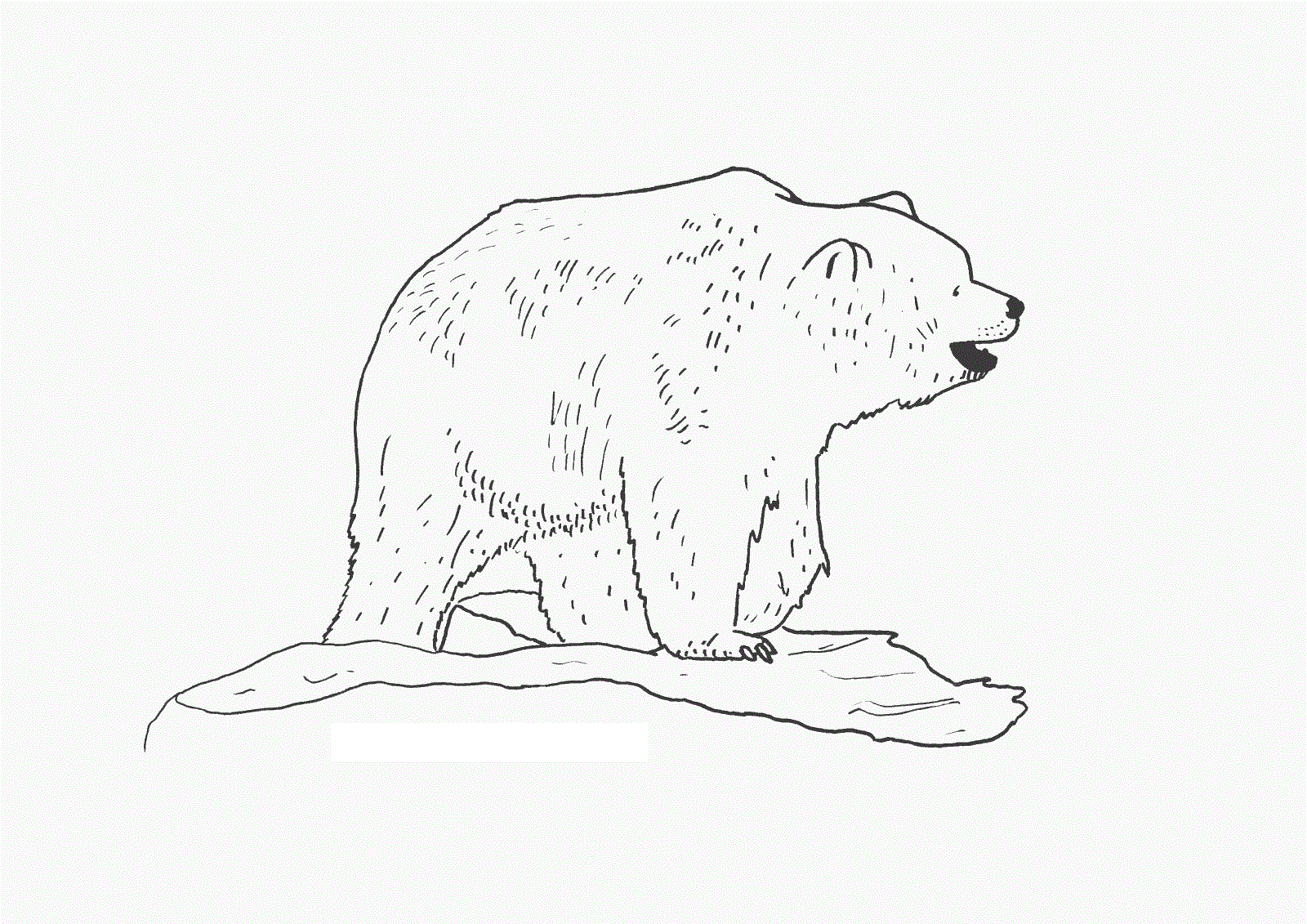 panda care bear coloring pages - photo #31