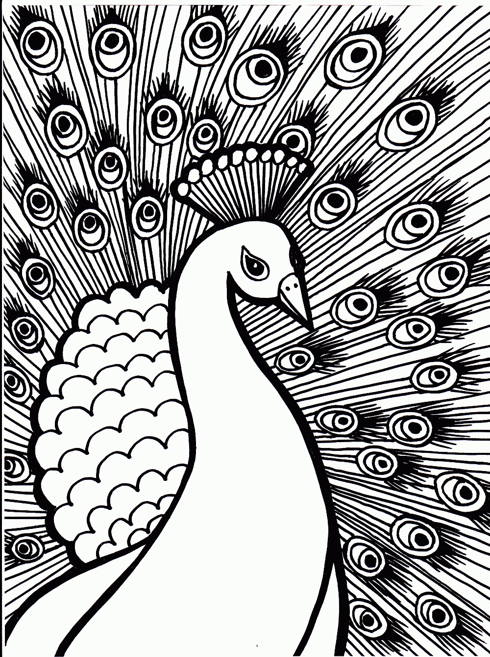 Free Printable Peacock Coloring Pages