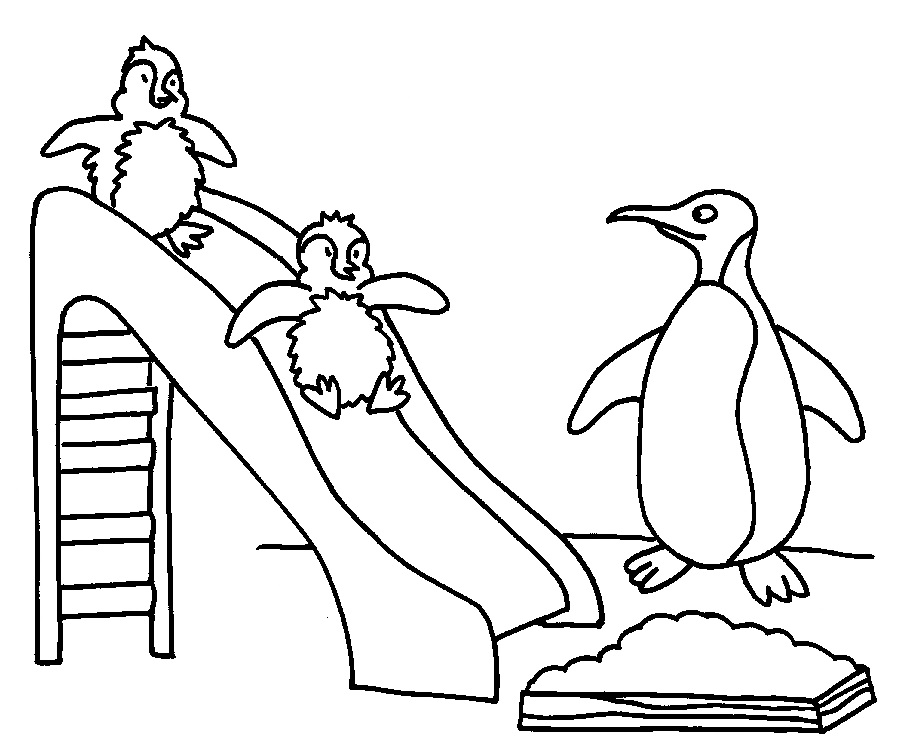 panguin coloring pages - photo #24