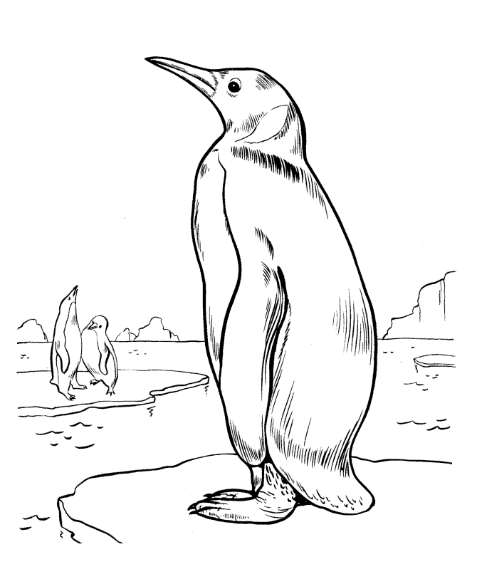 penquins coloring pages - photo #46