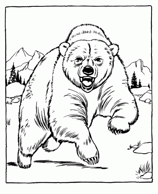 Polar Bear Coloring Pages
