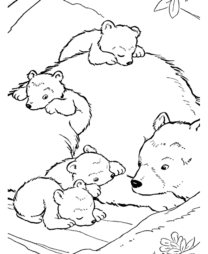 coloring pages of bears - photo #17