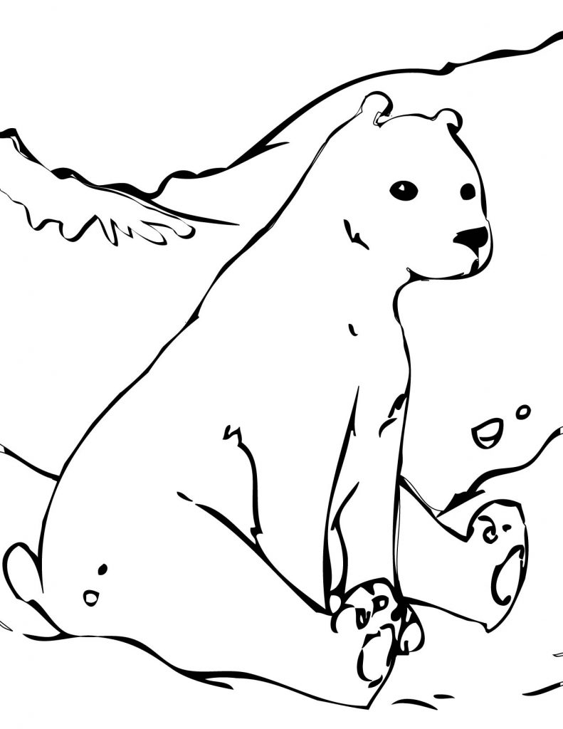 Polar Bear Coloring Pages For Kids Free Printable Polar Bear Coloring Pages For Kids