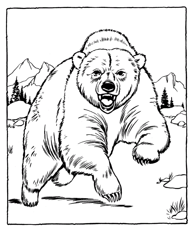 coloring pages of bears - photo #28