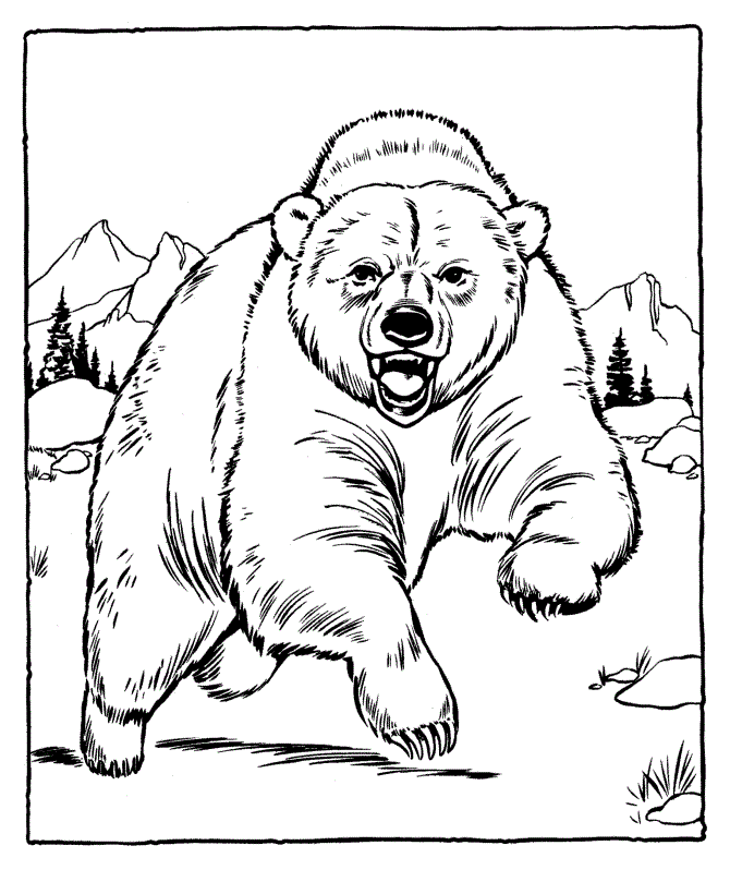 free-printable-bear-coloring-pages-for-kids