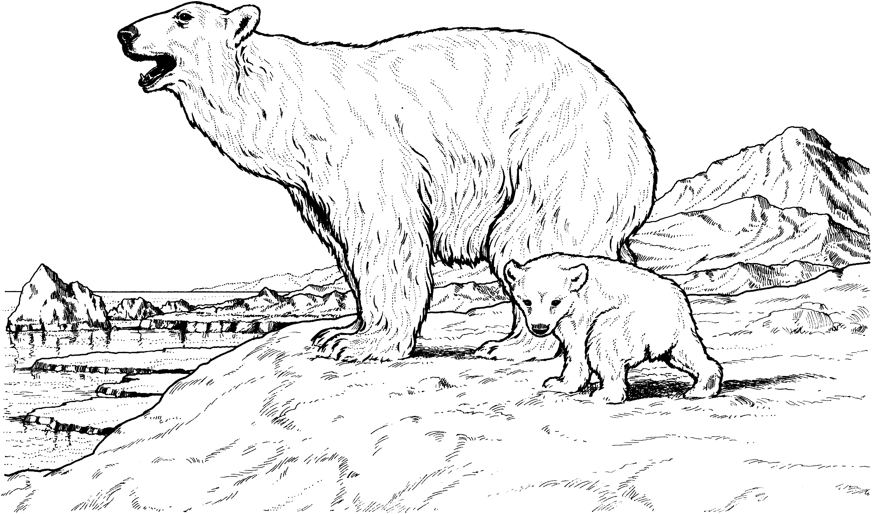 Polar Bear Mother and Baby Coloring Pages